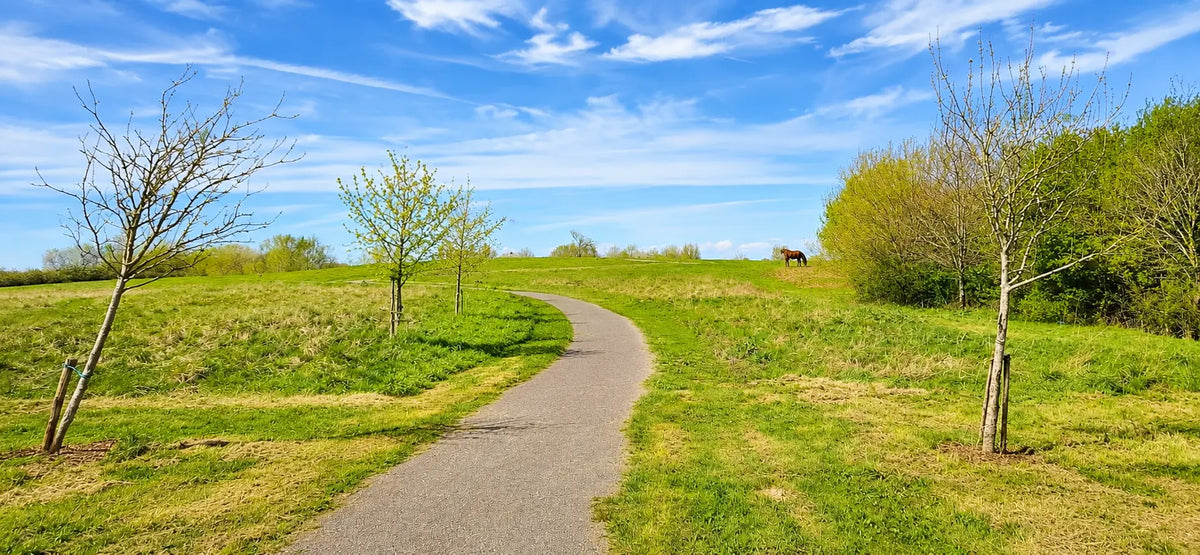 The House of Bridie Journal — Part One Bride’s Mound: A Place That Called Us Home House Of Bridie